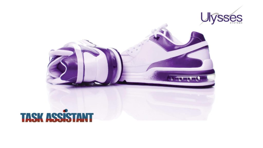 Bying Software or…new Nikes? ERP Implementation Failures
