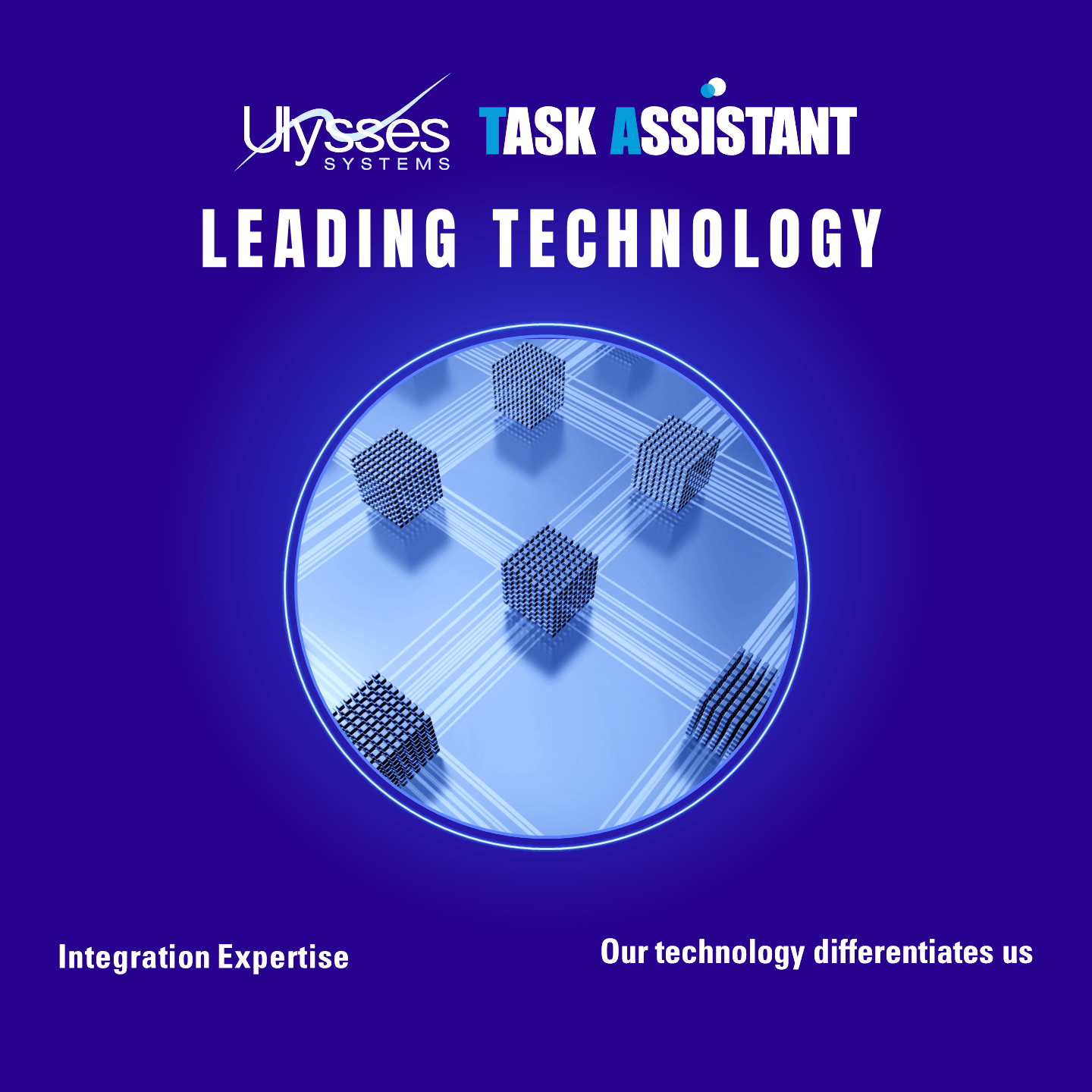 Leaders in Integration